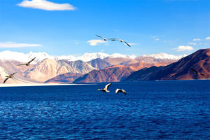 Ladakh fixed departures by Shah Vacations